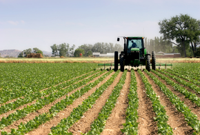 Landarbeit mit dem Traktor