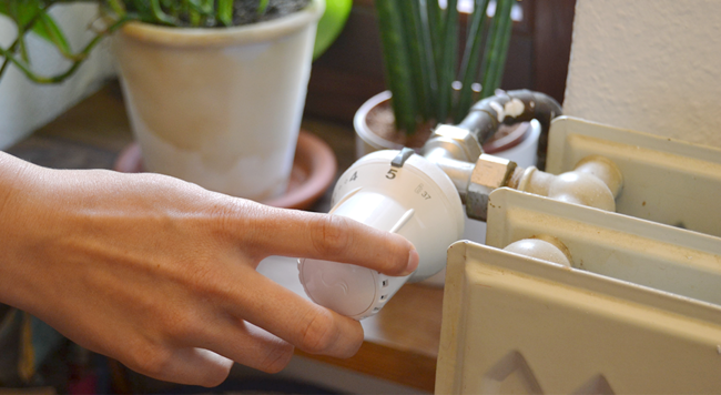 Vor dem Entlüften der Heizung, muss das Thermostat auf die höchste Stufe gestellt werden.