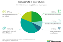 Klimaschutz in einer Stunde: Mit 5 Maßnahmen im Alltag 2,2 Tonnen CO2 einsparen. Mit dem Rad statt Auto zur Arbeit: 472 kg CO2. Vegetarisch statt mit Fleisch kochen: 1010 kg CO2. Auf Ökostrom umsteigen: 284 kg CO2. Sparduschkopf benutzen: 215 kg CO2. Hose flicken statt neue kaufen: 212 kg CO2