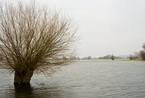 Hochwasser