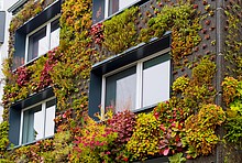 Mehrfamilienhaus mit begrünter Fassade