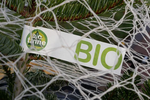 Banderole am Weihnachtsbaum im Baumwollnetz: Bio und biotanne